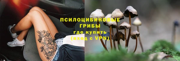 соль курить ск Гусиноозёрск