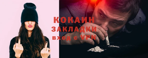 jwh Гусь-Хрустальный