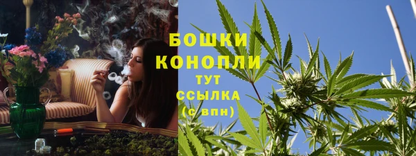 jwh Гусь-Хрустальный