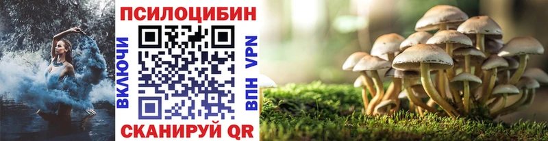 Псилоцибиновые грибы GOLDEN TEACHER  Жиздра 