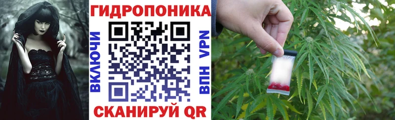 Бошки Шишки VHQ  сайты даркнета как зайти  Жиздра  закладки 